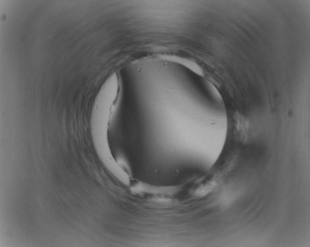 X0000067910380200604271924