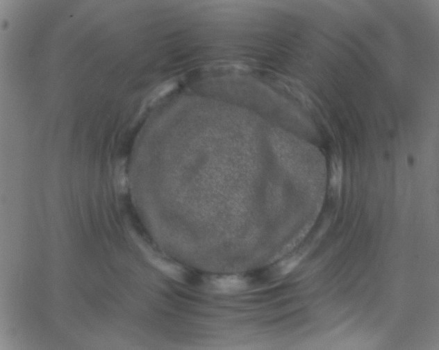 X0000067910383200604271924