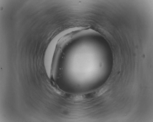 X0000067910384200604271924