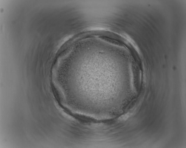 X0000067910385200604271923