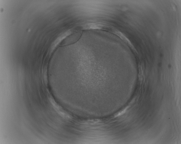 X0000067910386200604271923