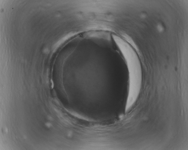 X0000067910387200604271923