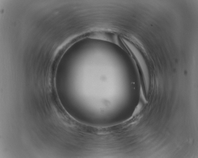 X0000067910388200604271923