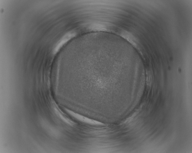 X0000067910390200604271923