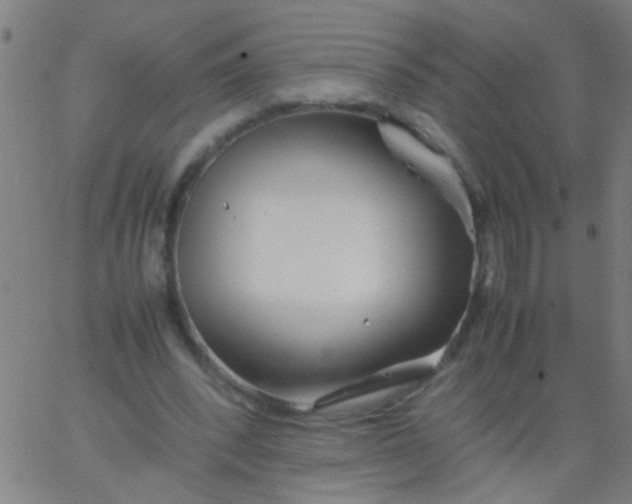 X0000067910392200604271923