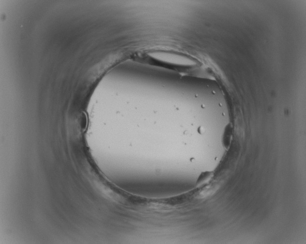 X0000067910393200604271923