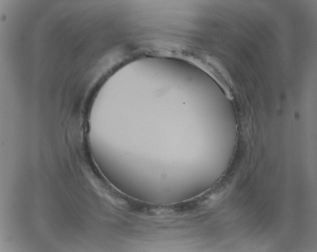 X0000067910395200604271923