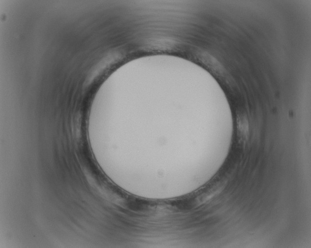 X0000067910396200604271923