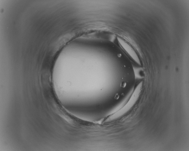 X0000067910397200604271923