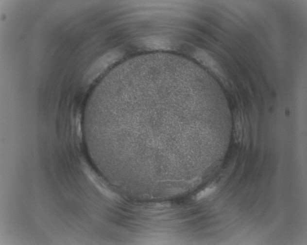 X0000067910398200604271923