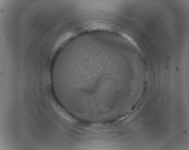 X0000067910399200604271923