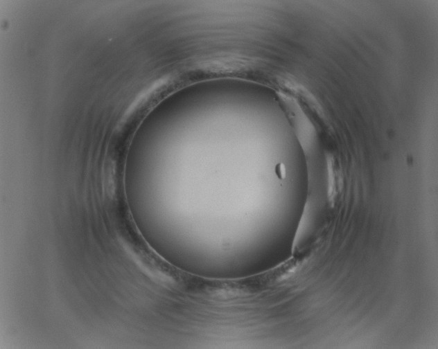 X0000067910400200604271923