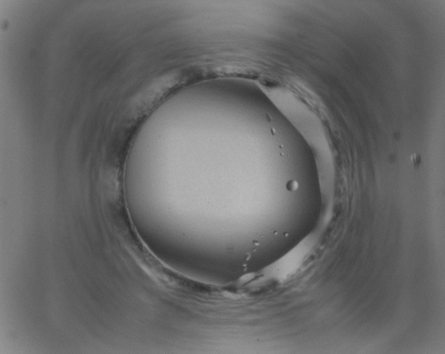 X0000067910401200604271923