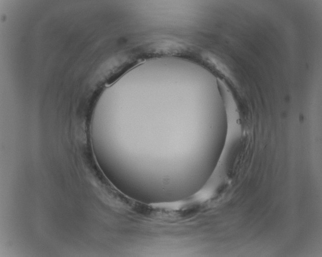 X0000067910403200604271923