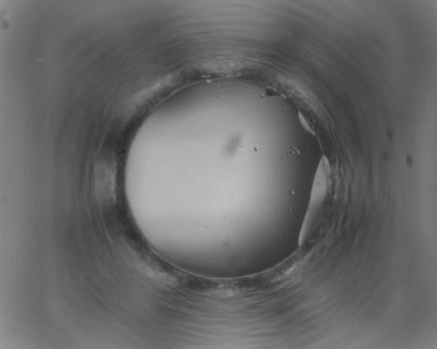 X0000067910404200604271923