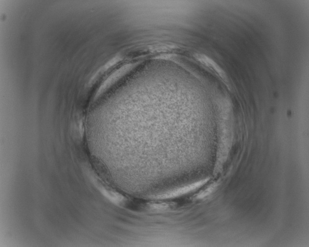 X0000067910405200604271923