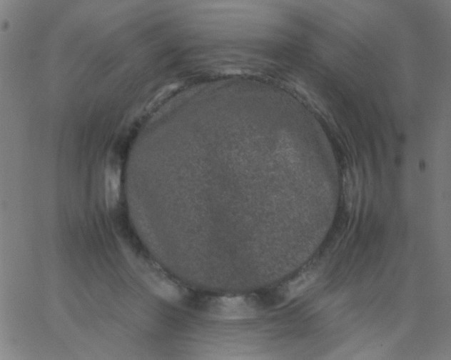 X0000067910406200604271923