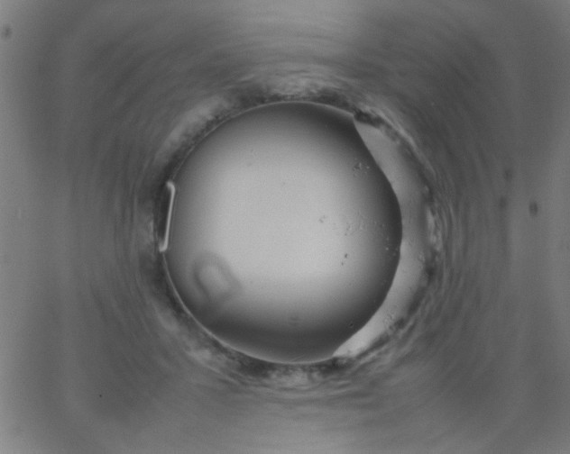 X0000067910407200604271923