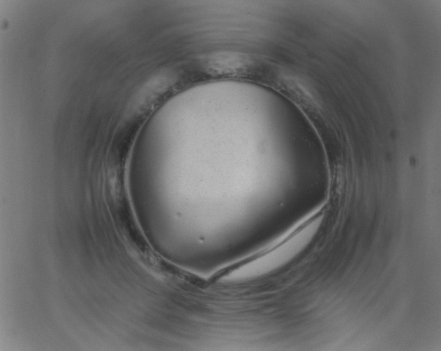 X0000067910408200604271923