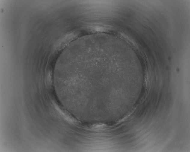 X0000067910410200604271923