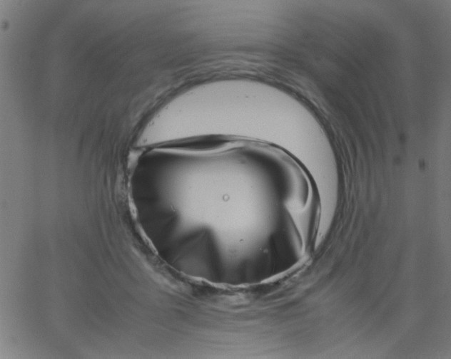 X0000067910411200604271923