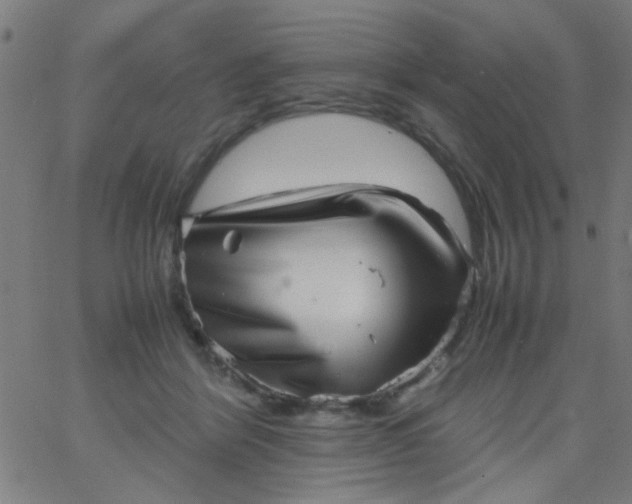 X0000067910412200604271923