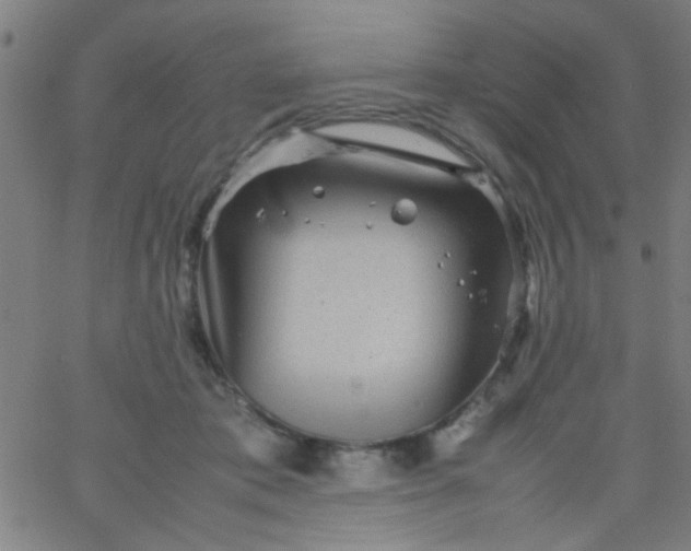 X0000067910413200604271923