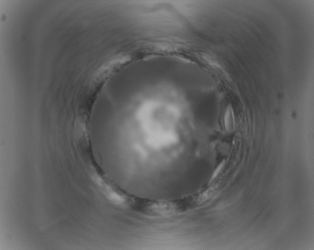 X0000067910415200604271923