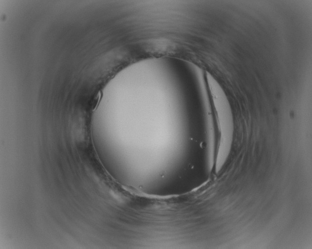 X0000067910416200604271923