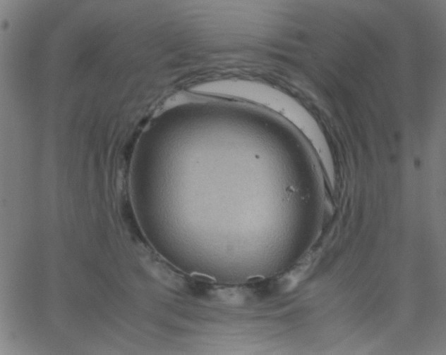 X0000067910417200604271923