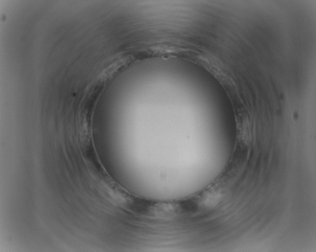 X0000067910418200604271923