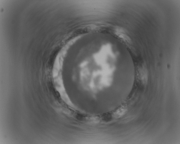 X0000067910419200604271923