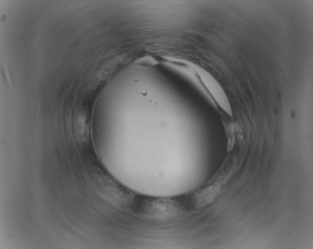 X0000067910420200604271922