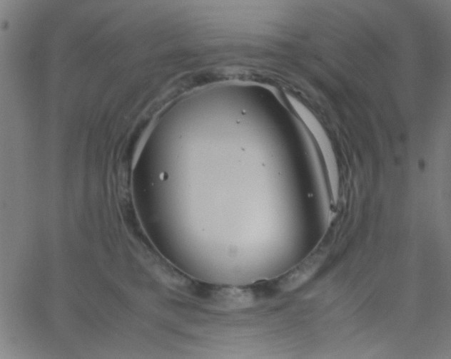 X0000067910421200604271922