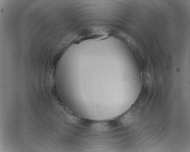 X0000067910422200604271922