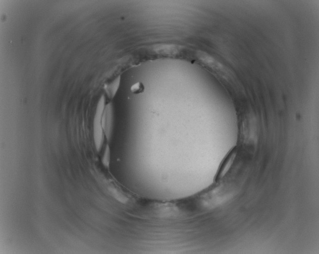 X0000067910424200604271922