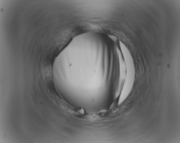 X0000067910425200604271922