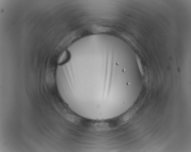 X0000067910426200604271922