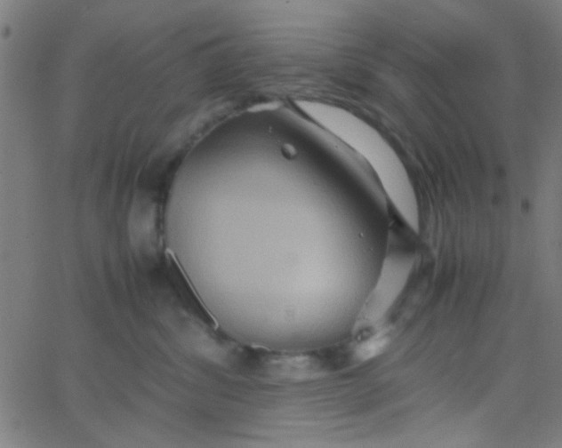 X0000067910428200604271922