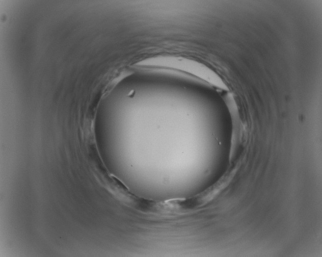 X0000067910429200604271922