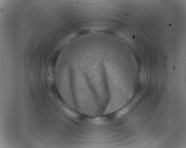 X0000067910430200604271922