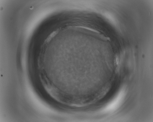 X0000067910431200604271922