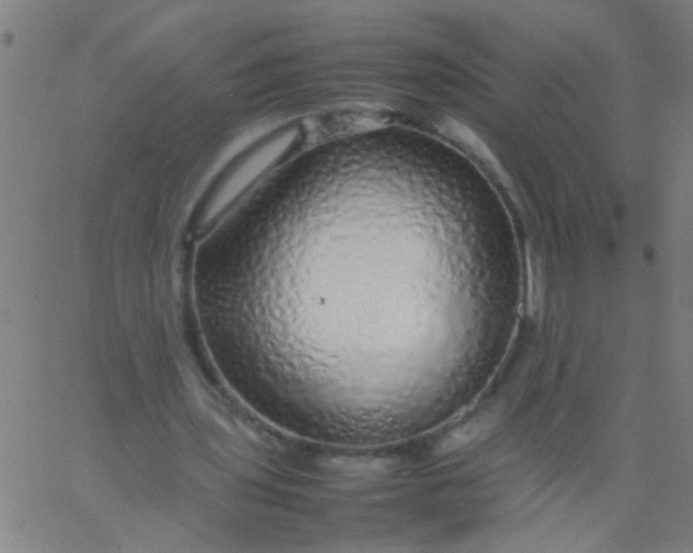 X0000067910435200604271922