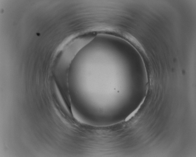 X0000067910436200604271922