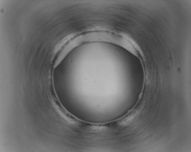 X0000067910437200604271922