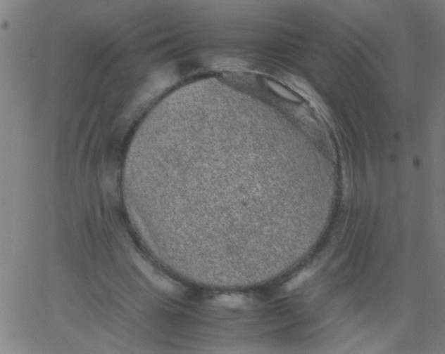 X0000067910441200604271922