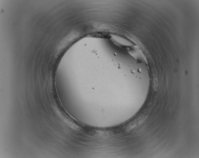 X0000067910442200604271922