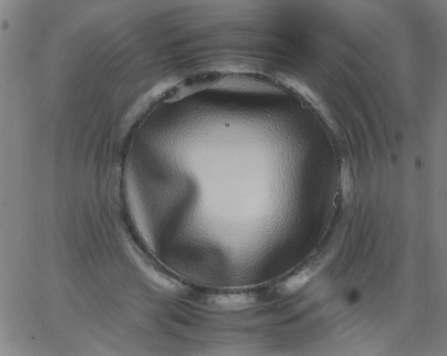 X0000067910445200604271922