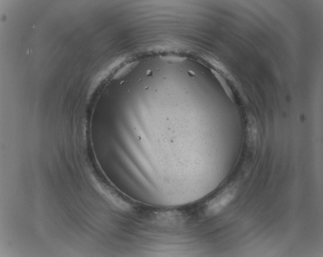 X0000067910446200604271922