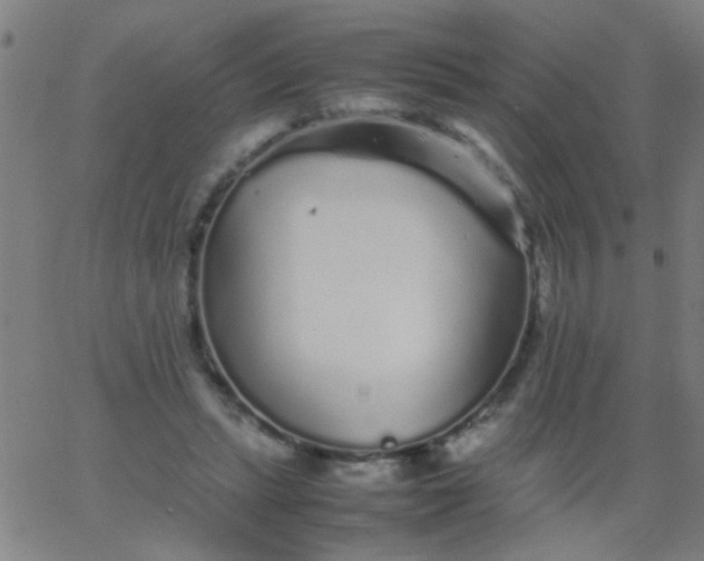 X0000067910447200604271922